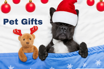 Gifts for dogs and cats